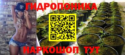 дмт Кунгур
