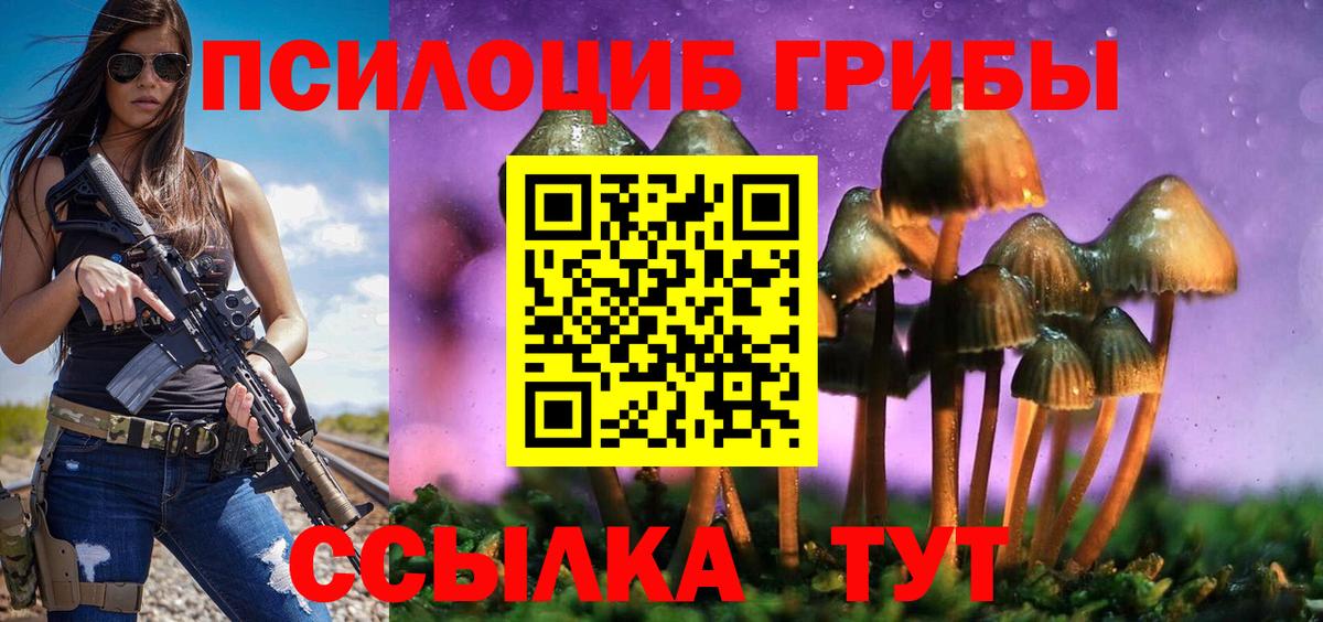 Псилоцибиновые грибы прущие грибы Зеленогорск
