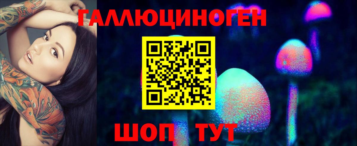 Зеленогорск  Псилоцибиновые грибы Psilocybine cubensis  Вход с VPN 